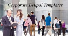 11+ Best Corporate Drupal Themes