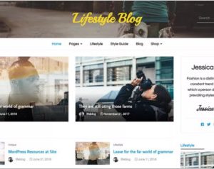 Lifestyle Blog WordPress Theme