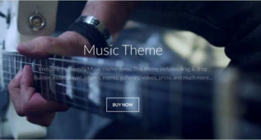 30+ Responsive Music WordPress Themes