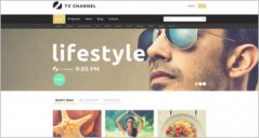 15+ Best TV Channel Joomla Website Templates