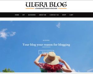 Ultra Lite Blog