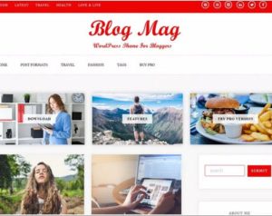 Blog Mag WordPress Theme