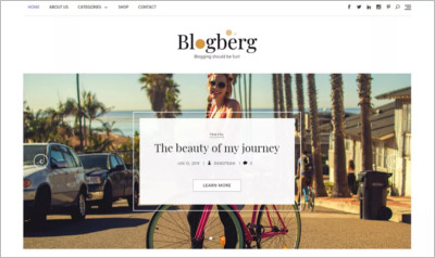 Blogberg WordPress Theme - Free Download