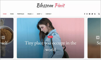 Blossom PinIt WordPress Theme - Free Download