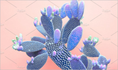 Blue neon cactus