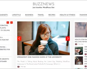 Buzz News WordPress Theme