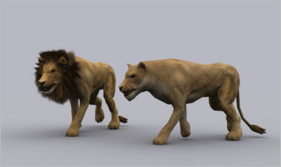 LION and LIONESS fbx - 3D Animals