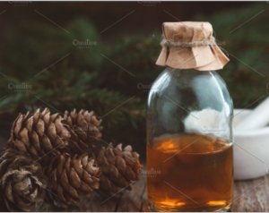 Pine oil, fir cones and branches
