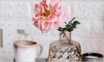 Pink rose in a vase