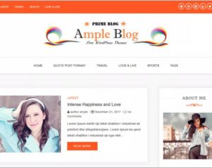 Ample Blog WordPress Theme