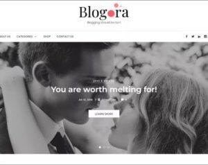 Blogora WordPress Theme