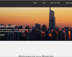 Corporate zing WordPress Theme