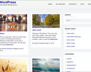 Dart Blog WordPress Theme