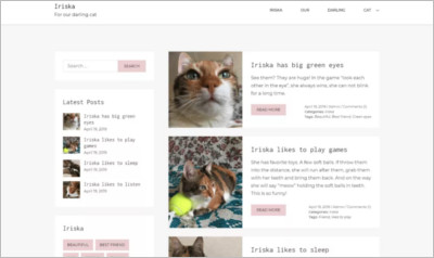 Iriska WordPress Theme - Free Download