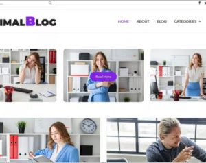 Minimalblog WordPress Theme