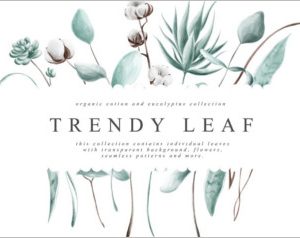Trendy Leaf Collection