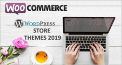 15 Best WordPress Store Themes 2019