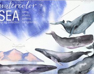 Watercolor Sea Whales set