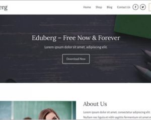 Eduberg WordPress Theme
