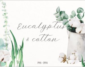 Eucalyptus cotton watercolor set