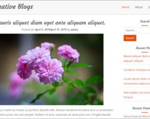 Informative Blogs WordPress Theme