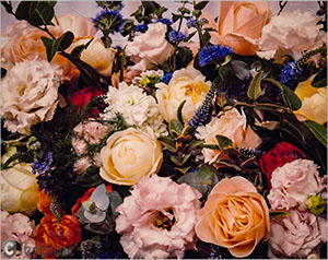 Floral Photo Art v30 - Free Download