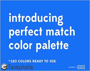 Perfect Match Color Palette