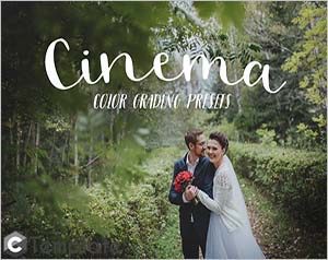 Premiere Pro wedding presets