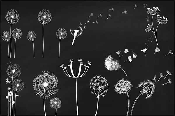 Chalk Dandelions Overlays Clip Art - Free Download