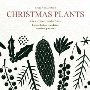 Christmas Plants Vector Collection