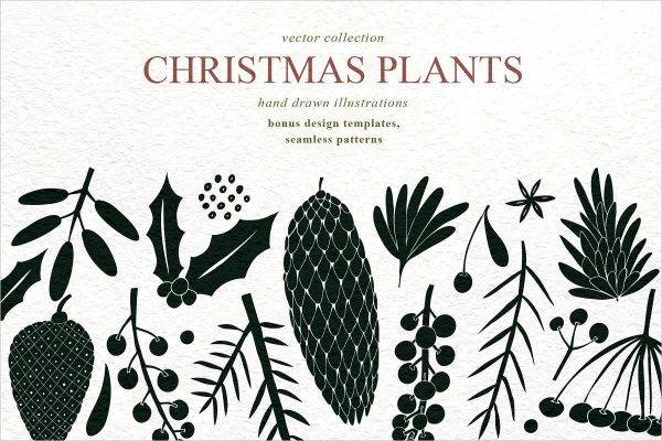 Christmas Plants Vector Collection- Free Download