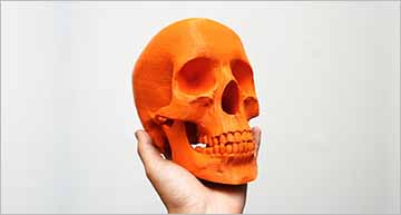 32+ Skull 3D Models