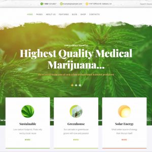 Canabro Medical Marijuana Joomla Template