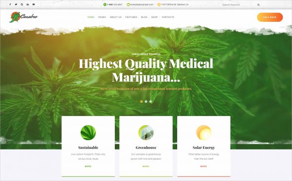 Canabro Medical Marijuana Joomla Template