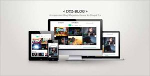 DTZ Blog A BlogMagazine Theme