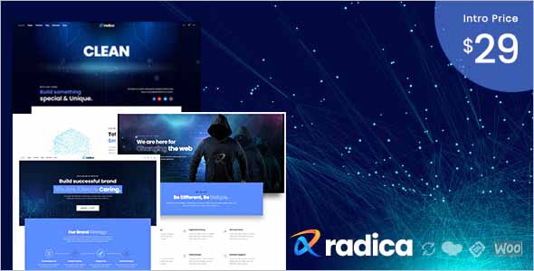 Radica MultiPurpose WordPress Theme
