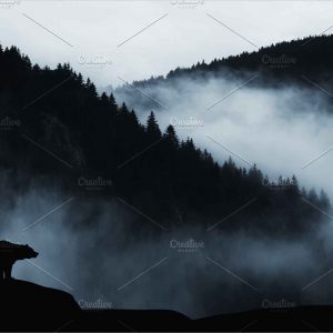 Dark landscape with bear